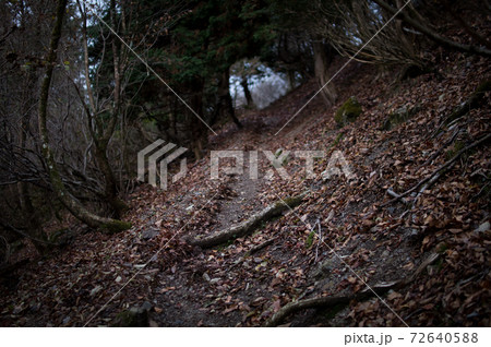 登山道 登山道 72640588