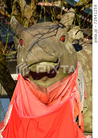 京都　北野天満宮の赤目牛（なで牛） 72641259