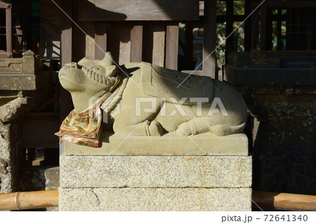 京都　北野天満宮のなで牛 72641340