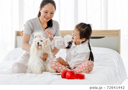 Asian mother and daughter playing with cute Maltese in bedroom. Concept family with dog at home. Asian mother and daughter playing with cute Maltese in bedroom. Concept family with dog at home. 72641442