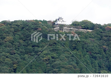 錦川と錦帯橋河畔から見る岩国城 72641610