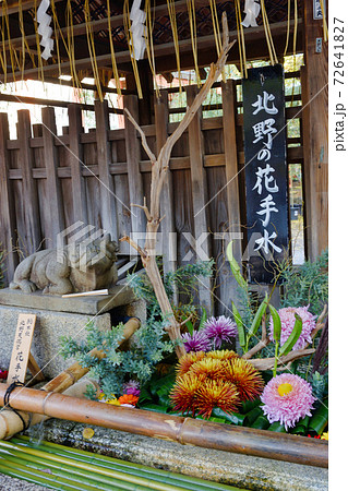 北野の花手水となで牛(京都 北野天満宮) 北野の花手水となで牛(京都 北野天満宮) 72641827