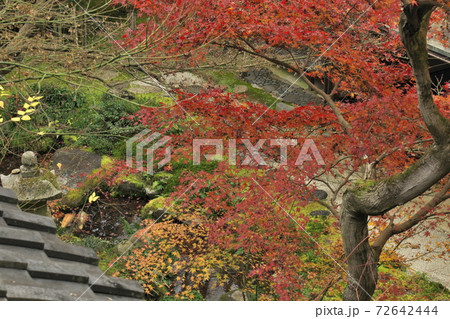 2階書院から玄関口の紅葉 2階書院から玄関口の紅葉 72642444