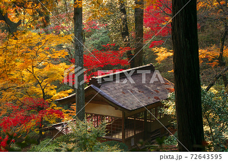 大興善寺の紅葉 大興善寺の紅葉 72643595