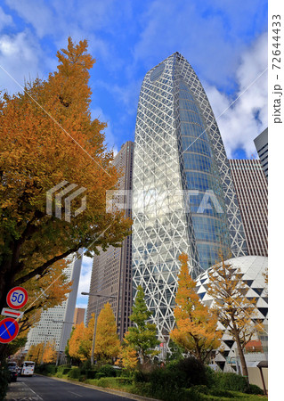 東京散歩　秋の西新宿　新宿駅西口付近 72644433