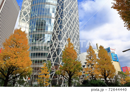 東京散歩　秋の西新宿　新宿駅西口付近 72644440
