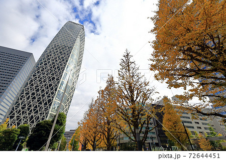 東京散歩　秋の西新宿　新宿駅西口付近 72644451