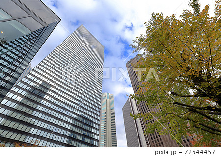 東京散歩　秋の西新宿　中央通り付近 72644457
