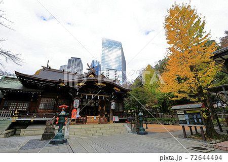 東京散歩　秋の西新宿　新宿中央公園付近　熊野神社 72644494