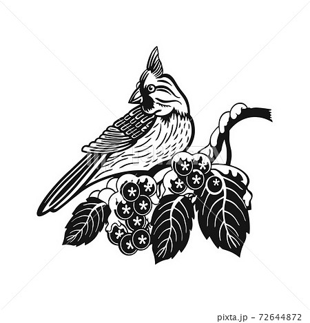 Tufted Titmouse bird - Winter Bird, Wildlife Stencils for Christmas Bird Decor, winter decor, Clipart Vector Tufted Titmouse bird - Winter Bird, Wildlife Stencils for Christmas Bird Decor, winter decor, Clipart Vector 72644872