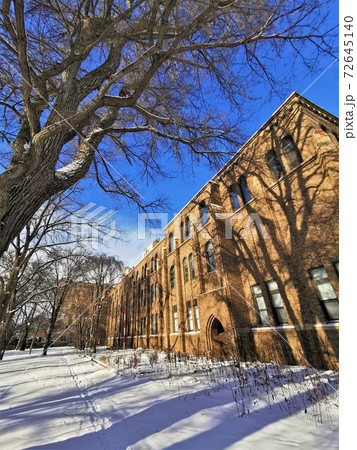 北海道大学総合博物館(北海道札幌市) 北海道大学総合博物館(北海道札幌市) 72645140