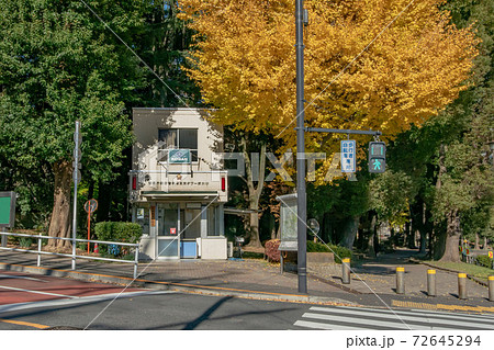警視庁愛宕警察署東京タワー前交番と紅葉した銀杏 72645294