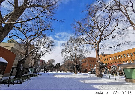雪の北海道大学 雪の北海道大学 72645442