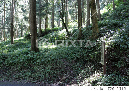旧朝倉街道跡（福井県 福井市 東大味町） 72645516