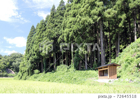 旧朝倉街道 一乗谷側(福井県 福井市 東大味町) 旧朝倉街道 一乗谷側(福井県 福井市 東大味町) 72645518