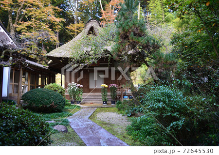 西念寺 2020-11-18 #10 西念寺 2020-11-18 #10 72645530