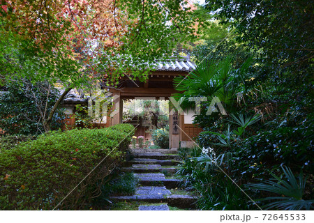 西念寺　2020-11-18　　＃7 72645533