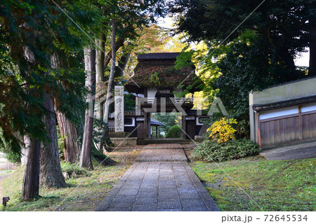 西念寺　2020-11-18　　＃6 72645534