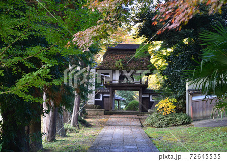 西念寺　2020-11-18　　＃5 72645535