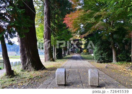 西念寺 2020-11-18 #1 西念寺 2020-11-18 #1 72645539