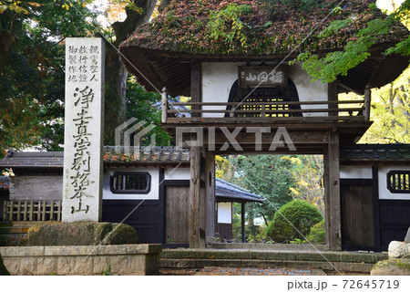 西念寺　2020-11-8　　＃16 72645719