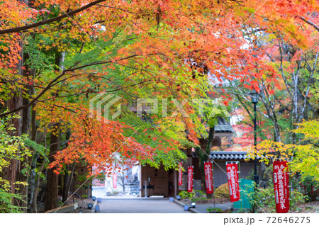 油山寺の紅葉の写真素材