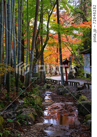 油山寺の紅葉の写真素材