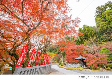 法多山尊永寺の紅葉 72646316