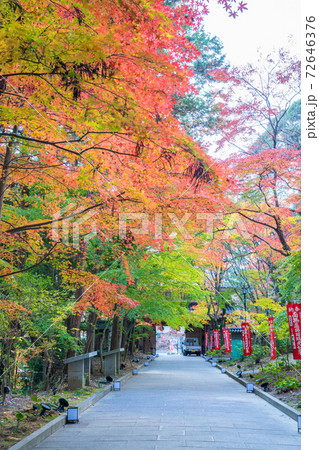 油山寺の紅葉の写真素材