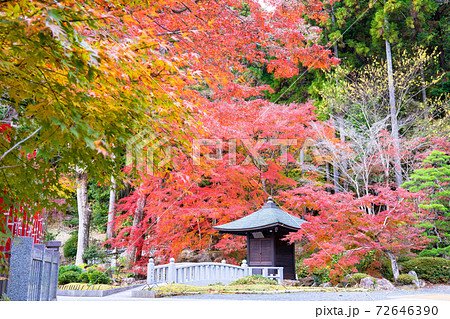 法多山尊永寺の紅葉 72646390