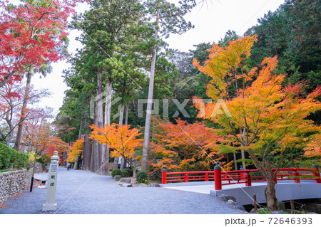 法多山尊永寺の紅葉 72646393