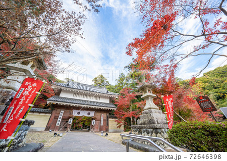 油山寺の紅葉の写真素材