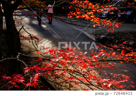 胡宮神社 72646415