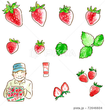 笑顔のいちご農家、いちご手描き水彩イラストセット白縁付きのイラスト
