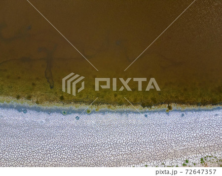 Close up of drying Pond in the end of summer 72647357