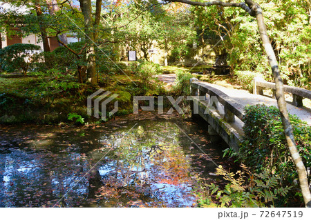 京都 法然院の境内 京都 法然院の境内 72647519