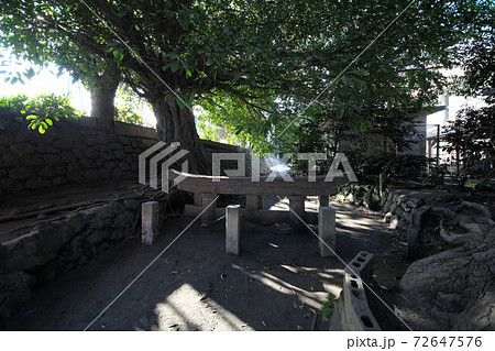 桜島 黒神埋没鳥居 桜島 黒神埋没鳥居 72647576