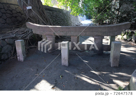 桜島　黒神埋没鳥居 72647578