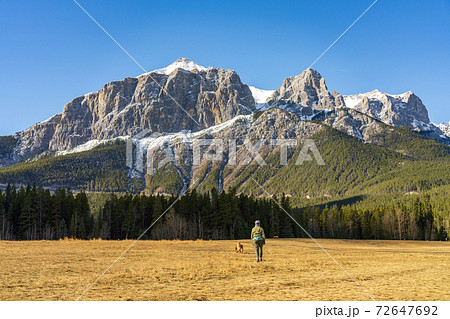 A woman is walking the dog in Quarry Lake Park in late autumn season sunny day morning. Snow capped Mount Rundle mountains in the background. Canmore, Alberta, Canada. A woman is walking the dog in Quarry Lake Park in late autumn season sunny day morning. Snow capped Mount Rundle mountains in the background. Canmore, Alberta, Canada. 72647692