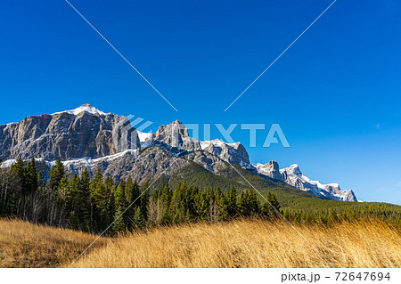 Quarry Lake Park in late autumn season sunny day morning. Snow capped Mount Rundle mountains in the background. Canmore, Alberta, Canada. 72647694