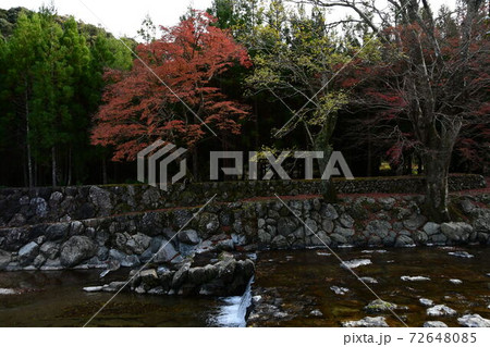 秋　紅葉 72648085