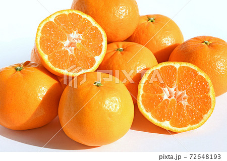 みかん（はれひめ） 72648193