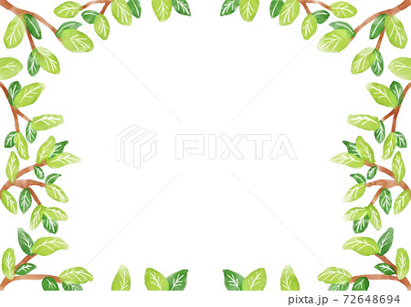 新緑の　フレーム 72648694