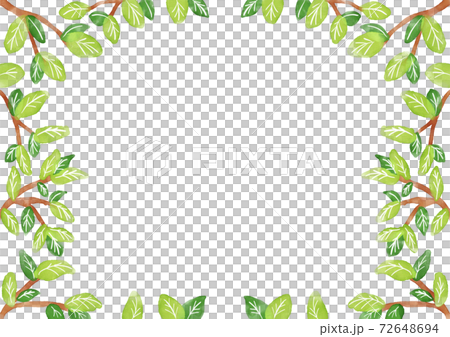 新緑の　フレーム 72648694