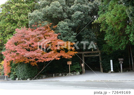 月讀宮　紅葉 72649169