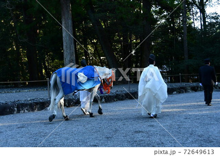 神馬 笑智号 神馬 笑智号 72649613
