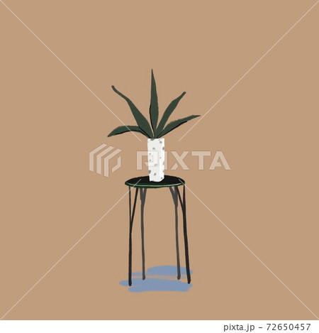 テーブルの上に置かれた観葉植物 サンスベリア のイラスト素材