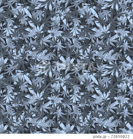 Seamless cannabis pattern with realistic leaves Seamless cannabis pattern with realistic leaves 72650822