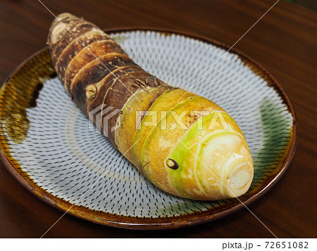 タケノコイモ 72651082