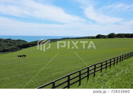 牧場の風景（北海道日高地方） 72653060